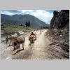 046 Colca Canyon.html